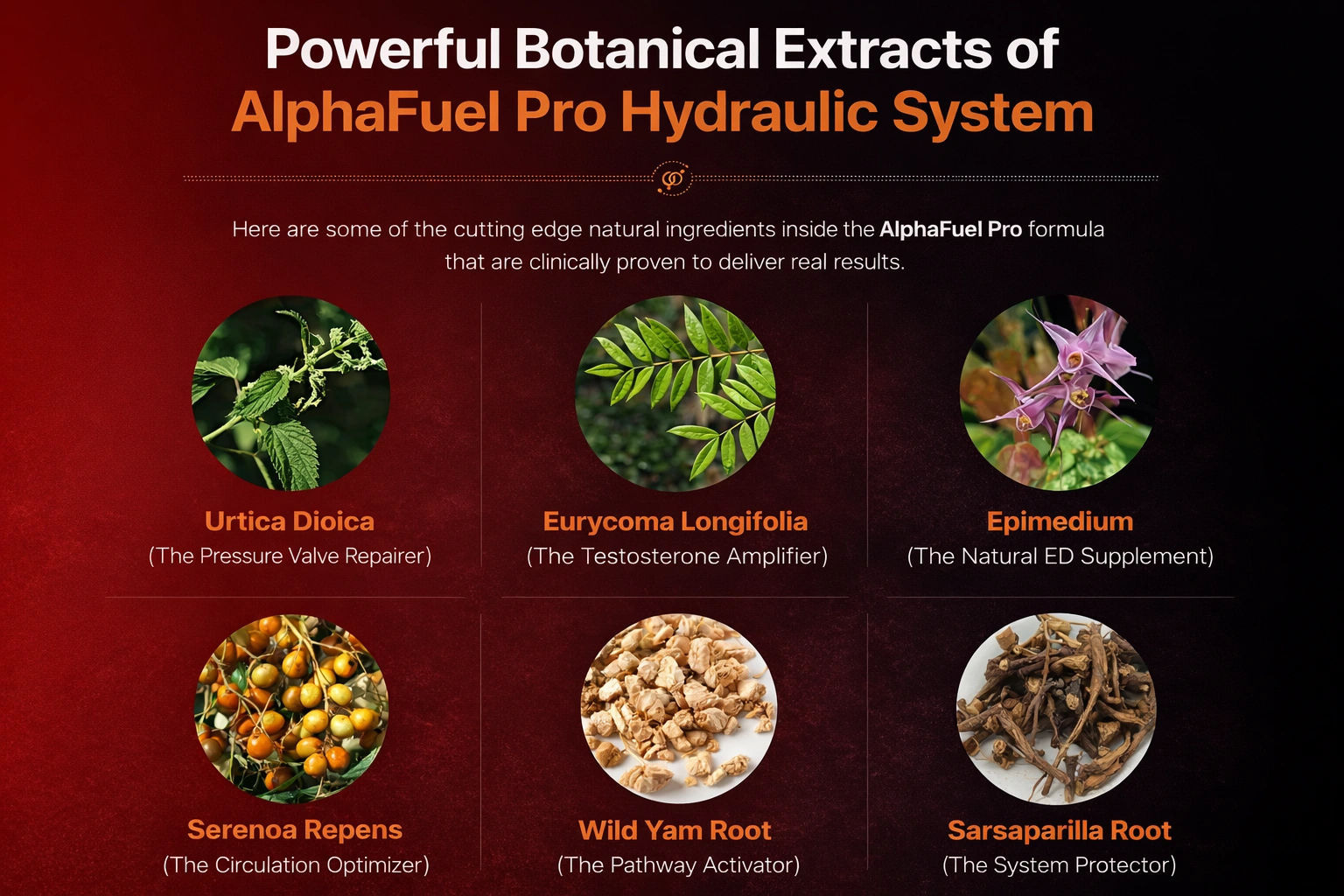 AlphaFuel Pro Weight Loss Supplement Bottle