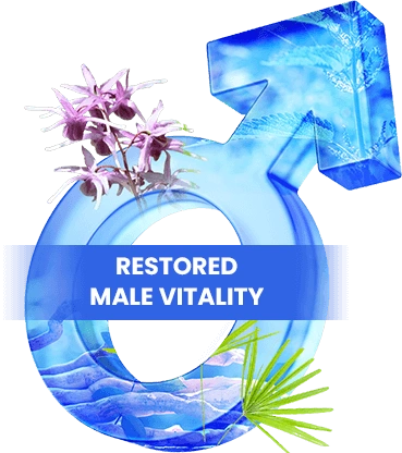 AlphaFuel Pro Brand Logo